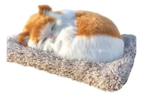 Gatito De Peluche Realista Gato Bebé Dormido Cute Adorno Varios