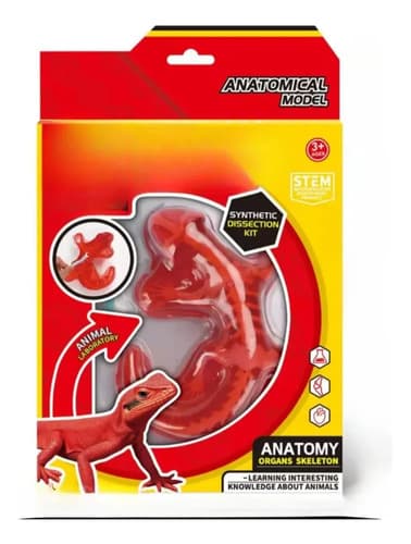 Juego De Salamandra Educativo Kit De Ciencias Para Niños