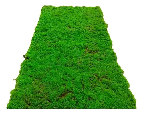 Musgo Artificial De Pasto Sintético 1 X 1mts