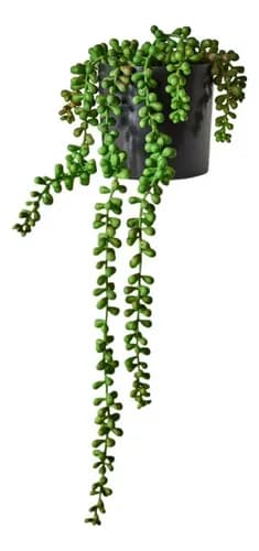 Pack 3 Guirnalda De Suculentas Colgantes Flores Artificiales Verde