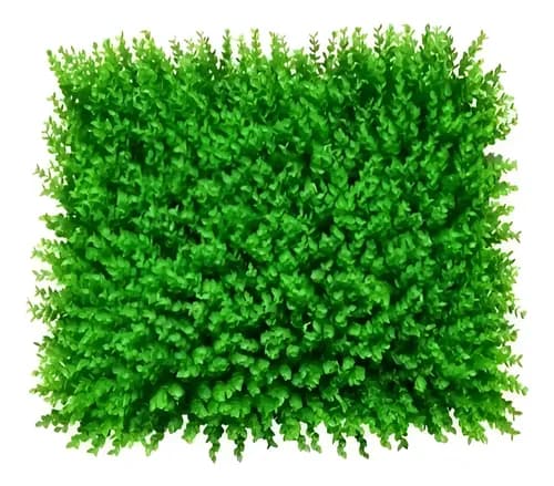 Pack De 6 Palmetas Artificial Diseño Espiral Pasto 60x40cm Espiral